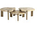 Orric 28 X 24 inch Natural / Antique Brass Coffee Table